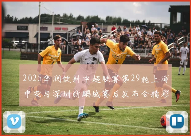 2025华润饮料中超联赛第29轮上海申花与深圳新鹏城赛后发布会精彩回顾与分析