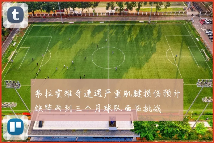 弗拉霍维奇遭遇严重肌腱损伤预计缺阵两到三个月球队面临挑战