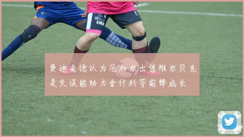 费迪南德认为范加尔出售维尔贝克是失误能助力舍什科等前锋成长